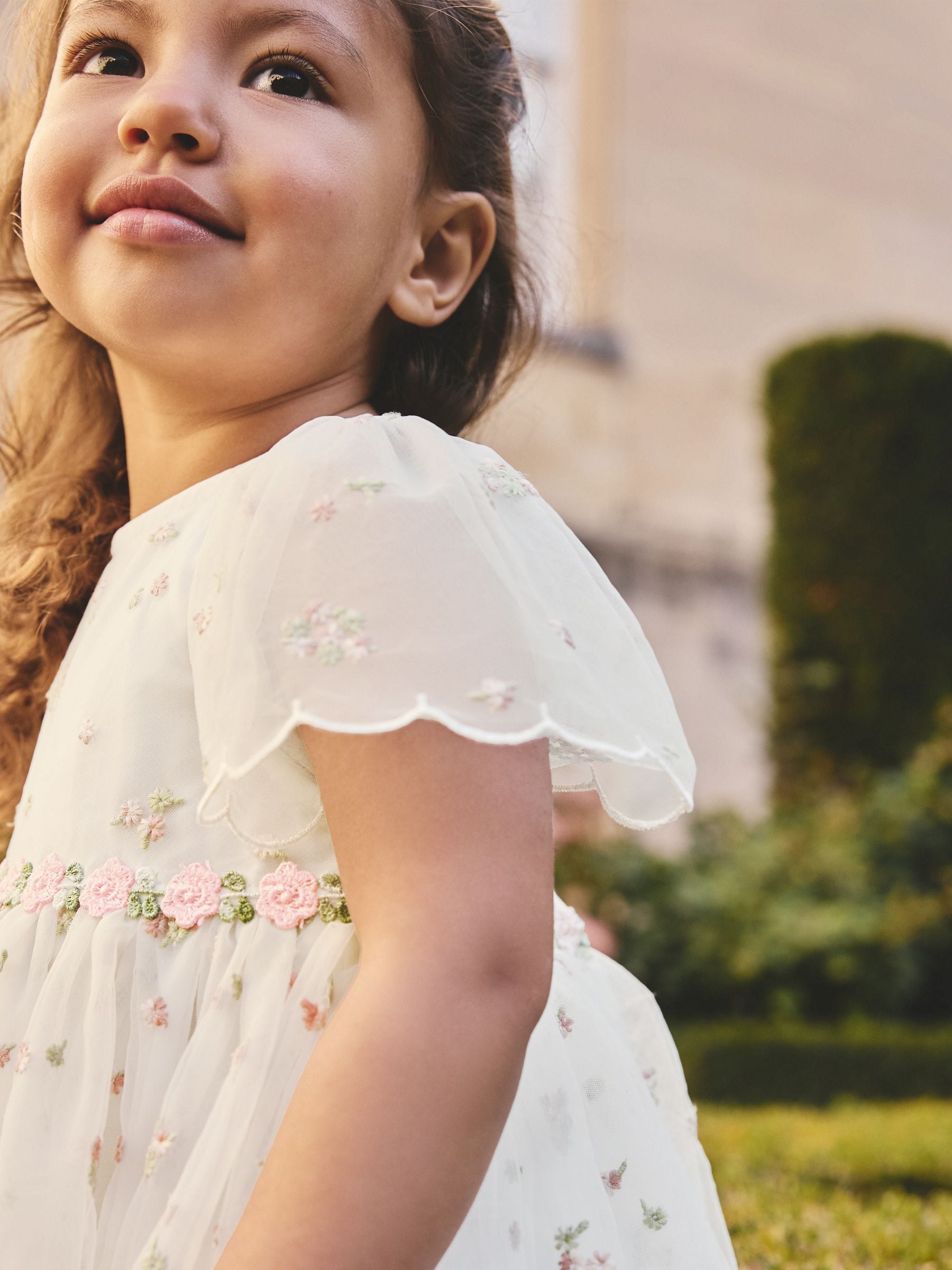 Ivory Embroidered Mesh Dress (3mths-8yrs) image 3
