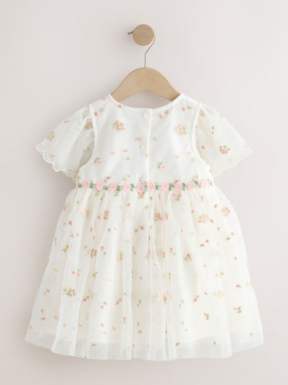 Ivory Embroidered Mesh Dress (3mths-8yrs) image 5