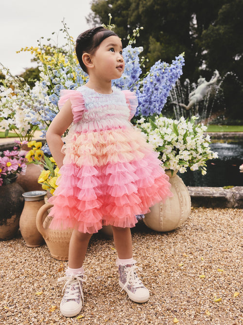 Rainbow Tiered Mesh Party Dress (3mths-8yrs) image 1