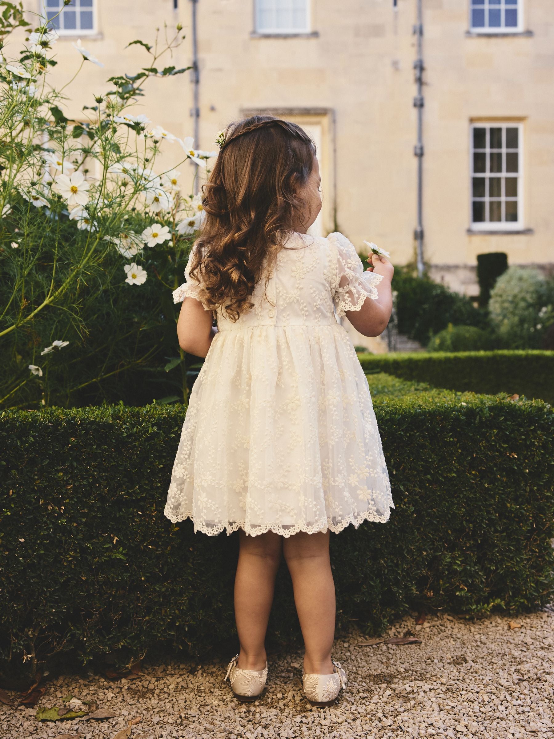Ivory Embroidered Prom Dress (3mths-8yrs) image 3