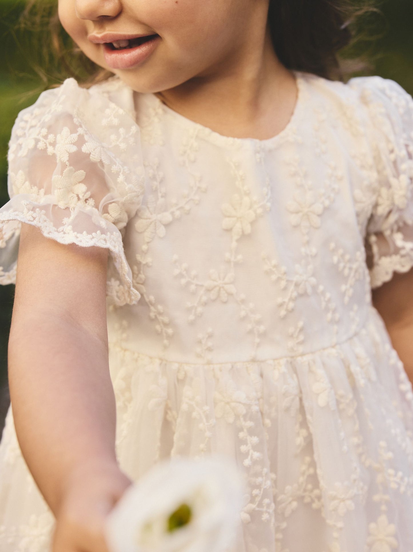 Ivory Embroidered Prom Dress (3mths-8yrs) image 4