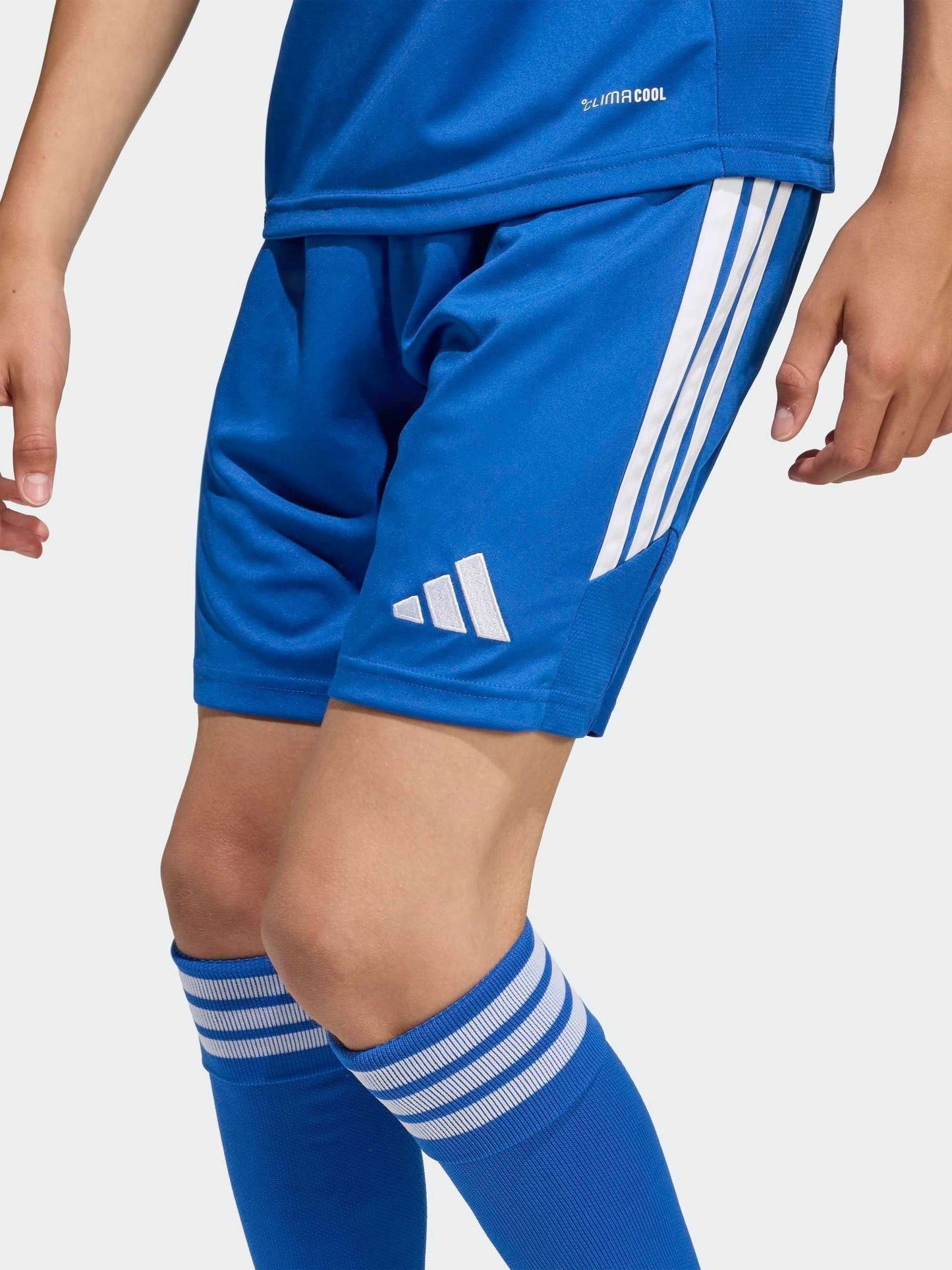 Dsiney Kidz - adidas Blue Tiro 26 League Training Shorts image 1