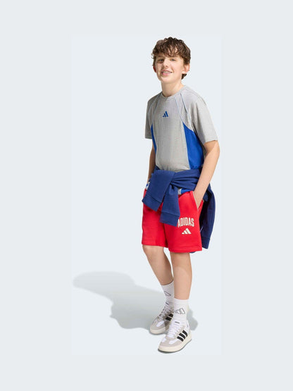 Dsiney Kidz - adidas Grey Colourblock T-Shirt image 3