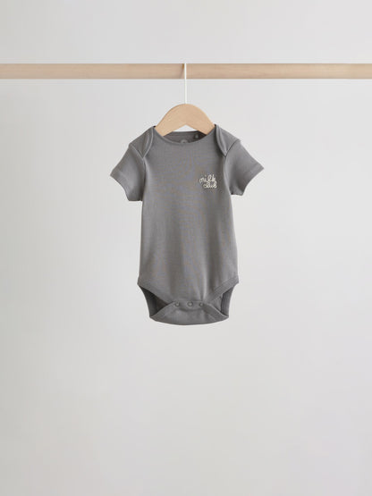 Blue 5 Pack Short Sleeve Baby Bodysuits image 3