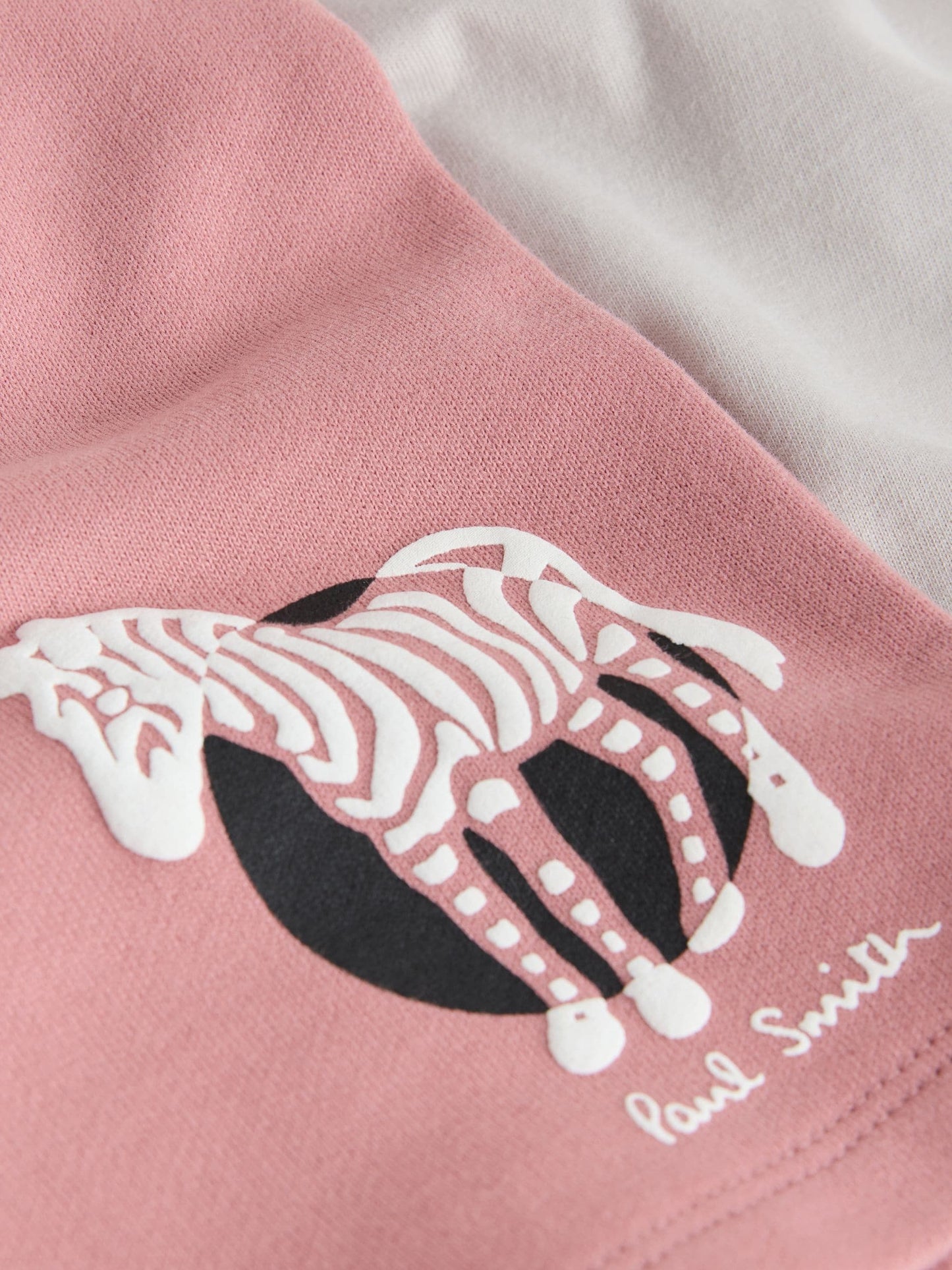 Dsiney Kidz - Paul Smith Junior Grey/Pink Graphic T-Shirt and Shorts Set image 8