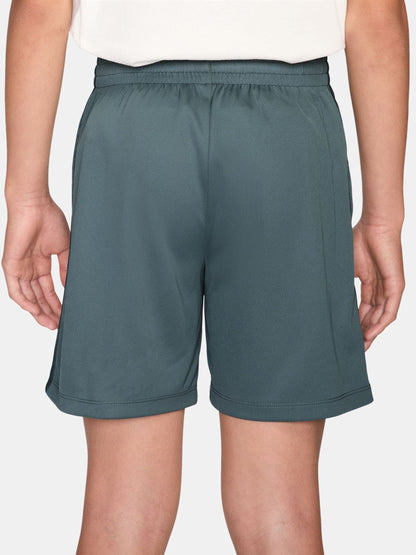 Dsiney Kidz - Nike Mineral Slate Multi Dri-FIT Training Shorts image 2