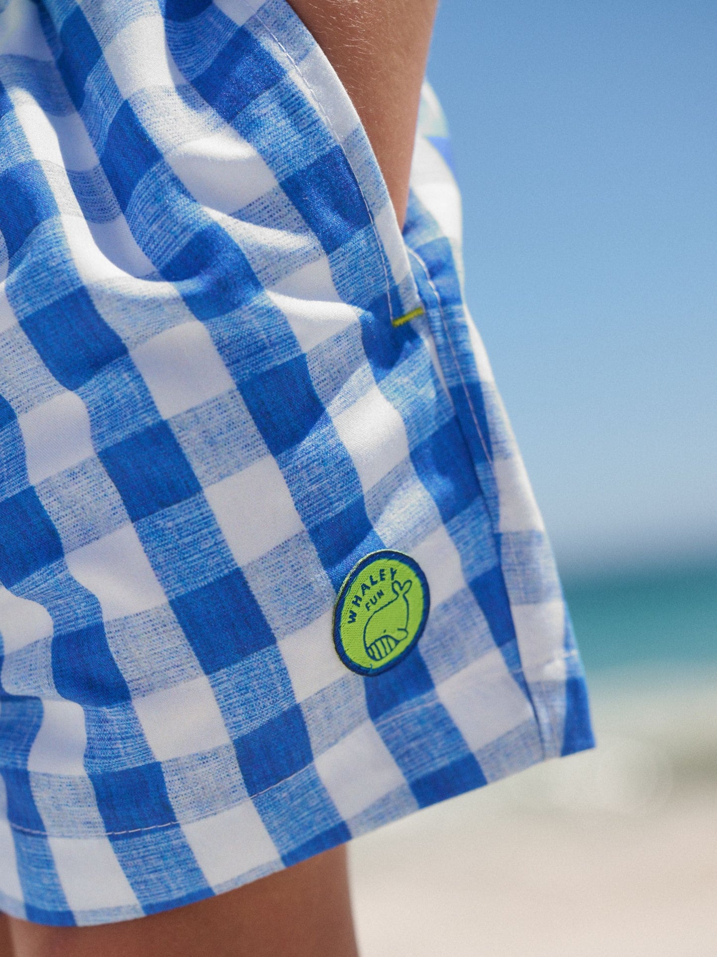 Blue Gingham Printed Swim Shorts (3mths-7yrs) image 4