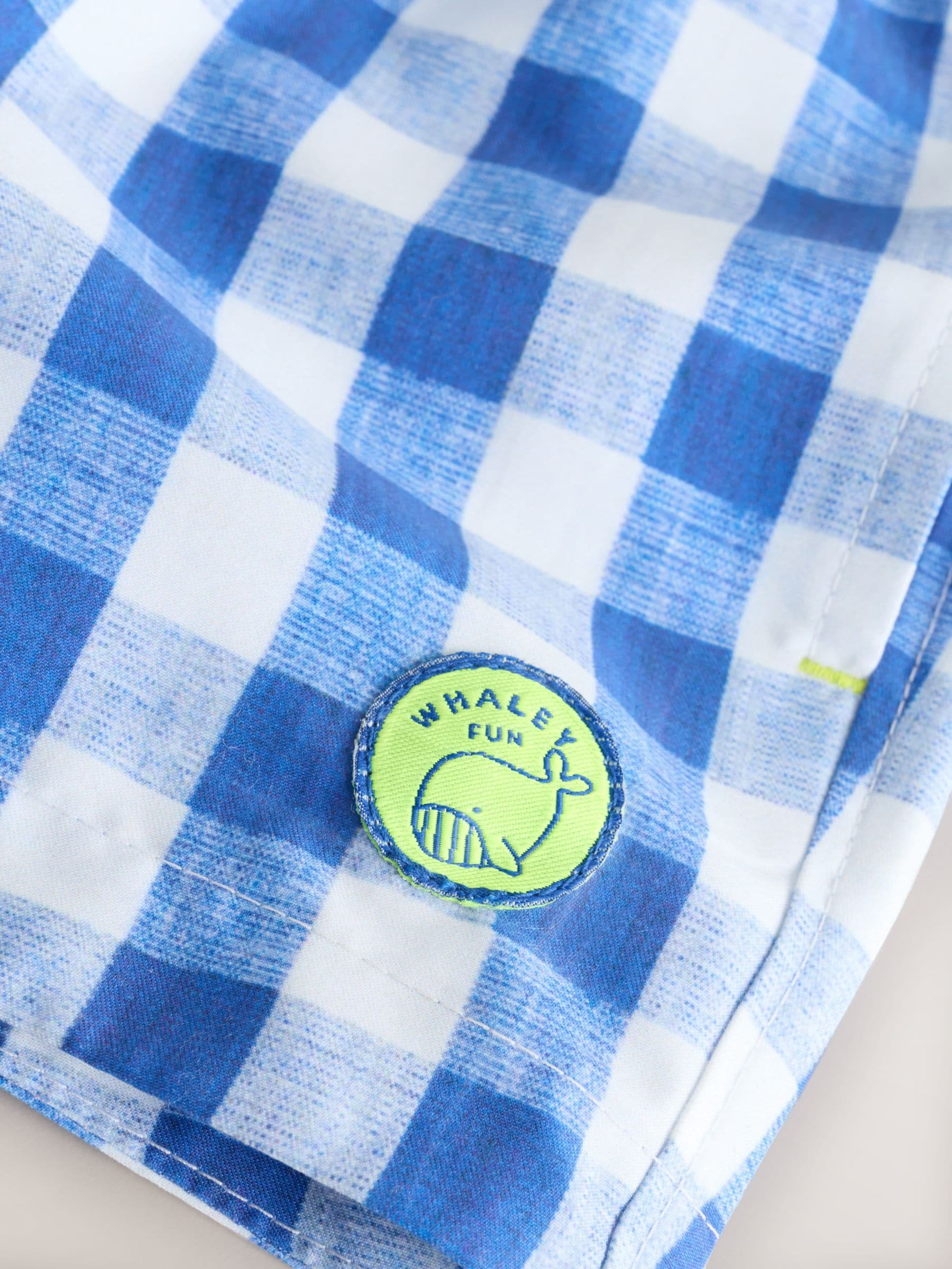 Blue Gingham Printed Swim Shorts (3mths-7yrs) image 8