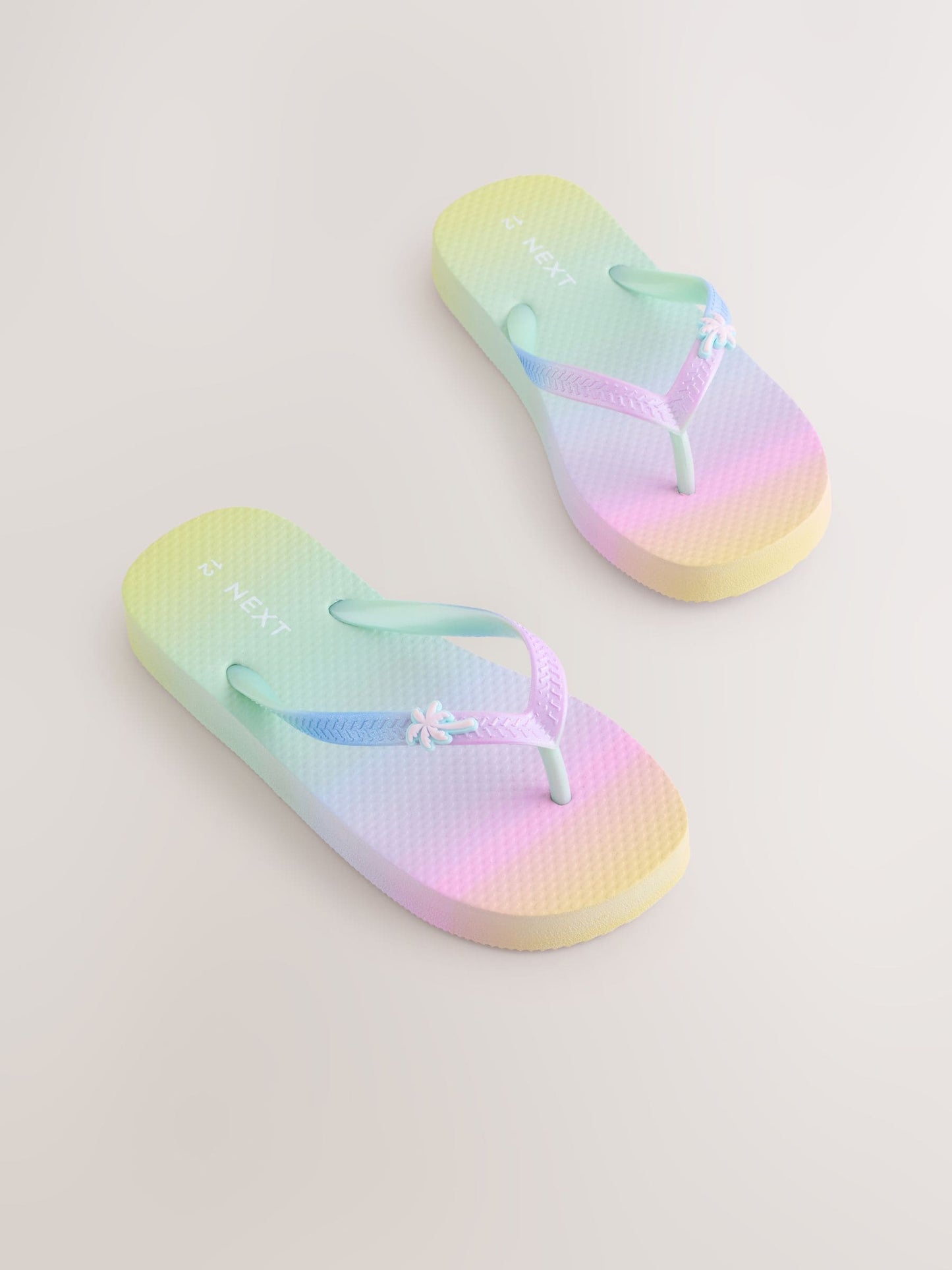 Rainbow Flip Flops image 1