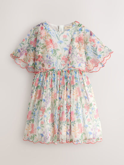 Laura Ashley Multi Elston Garden Printed Mesh Cape Dress image 11