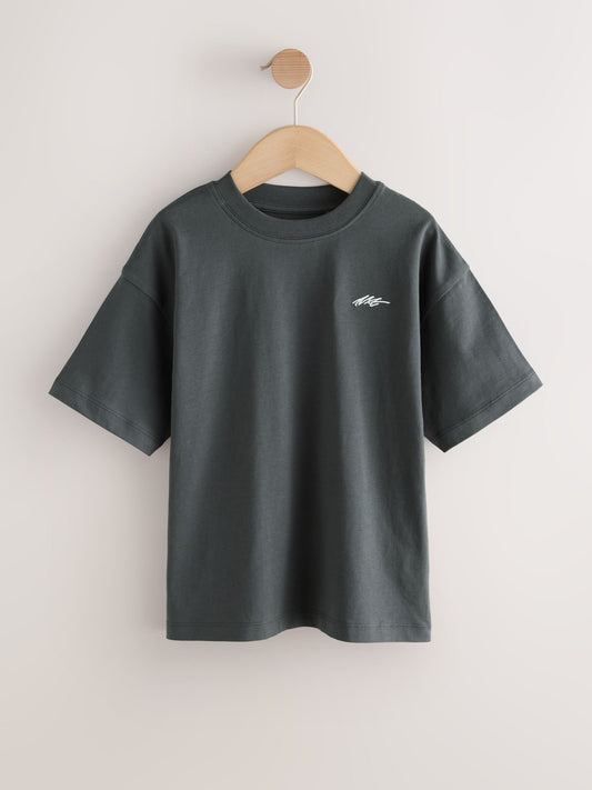 Dsiney Kidz - Light Grey/Brown/Dark Grey/Green Short Sleeve Logo Chest Graphic T-Shirts 4 Pack (3-16yrs) image 2
