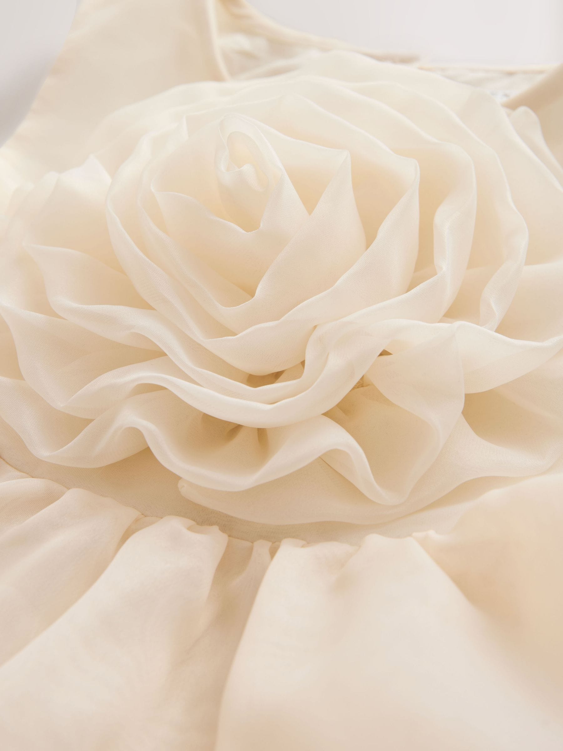 Ecru Flower Corsage Tiered Occasion Dress (3-16yrs) image 7