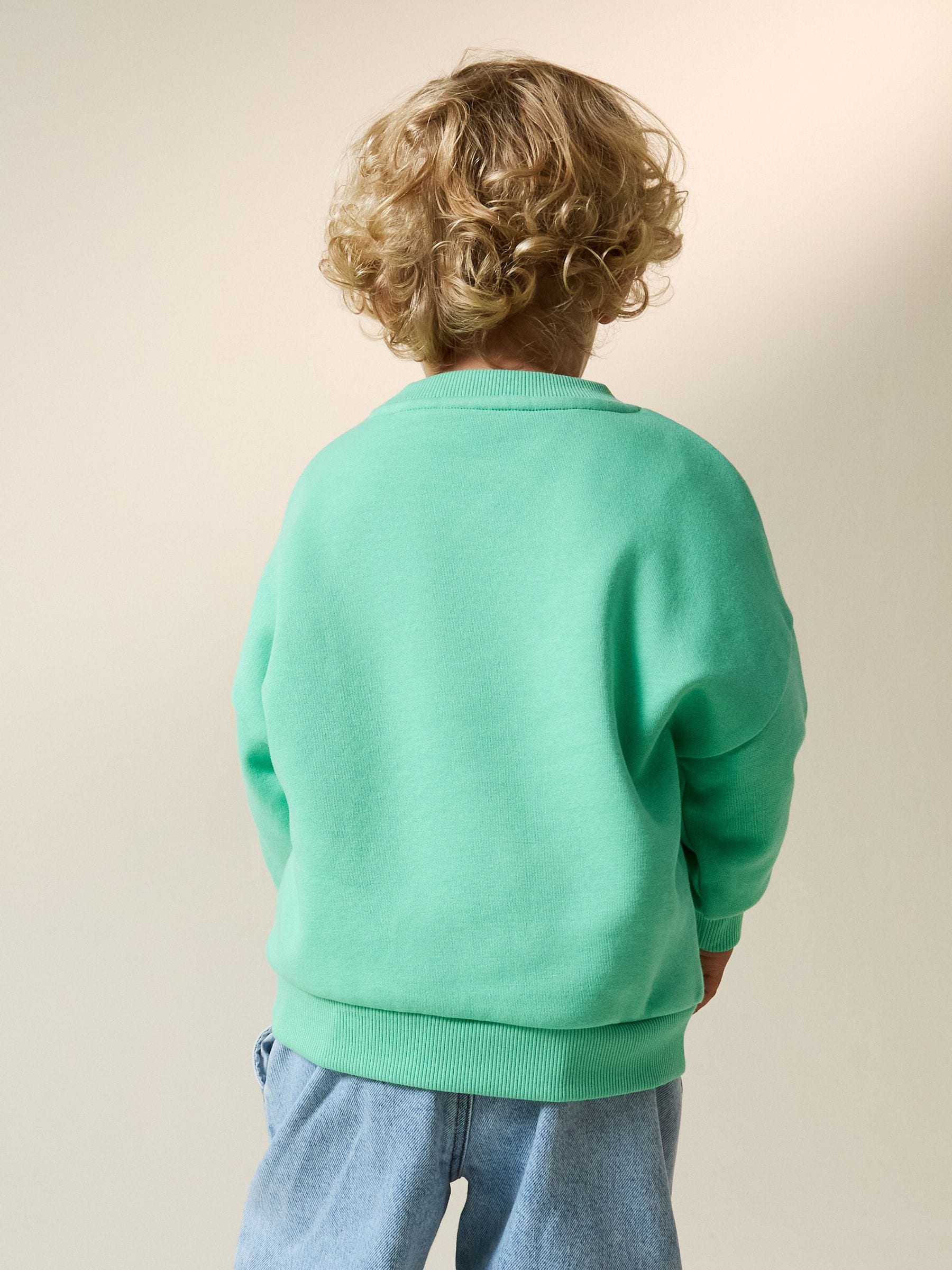 Dsiney Kidz - Green Palm Tree Printed Crew Neck Sweat Top (3mths-7yrs) image 4