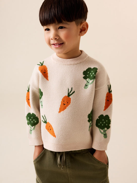 Neutral Vegetable Knitted Crew Neck Jumper (3mths-7yrs) - image 1