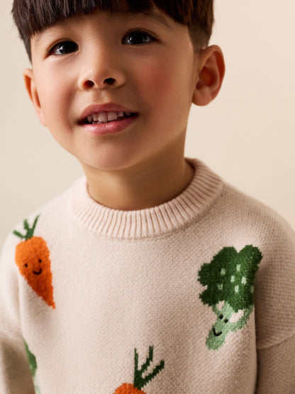 Neutral Vegetable Knitted Crew Neck Jumper (3mths-7yrs) - image 4