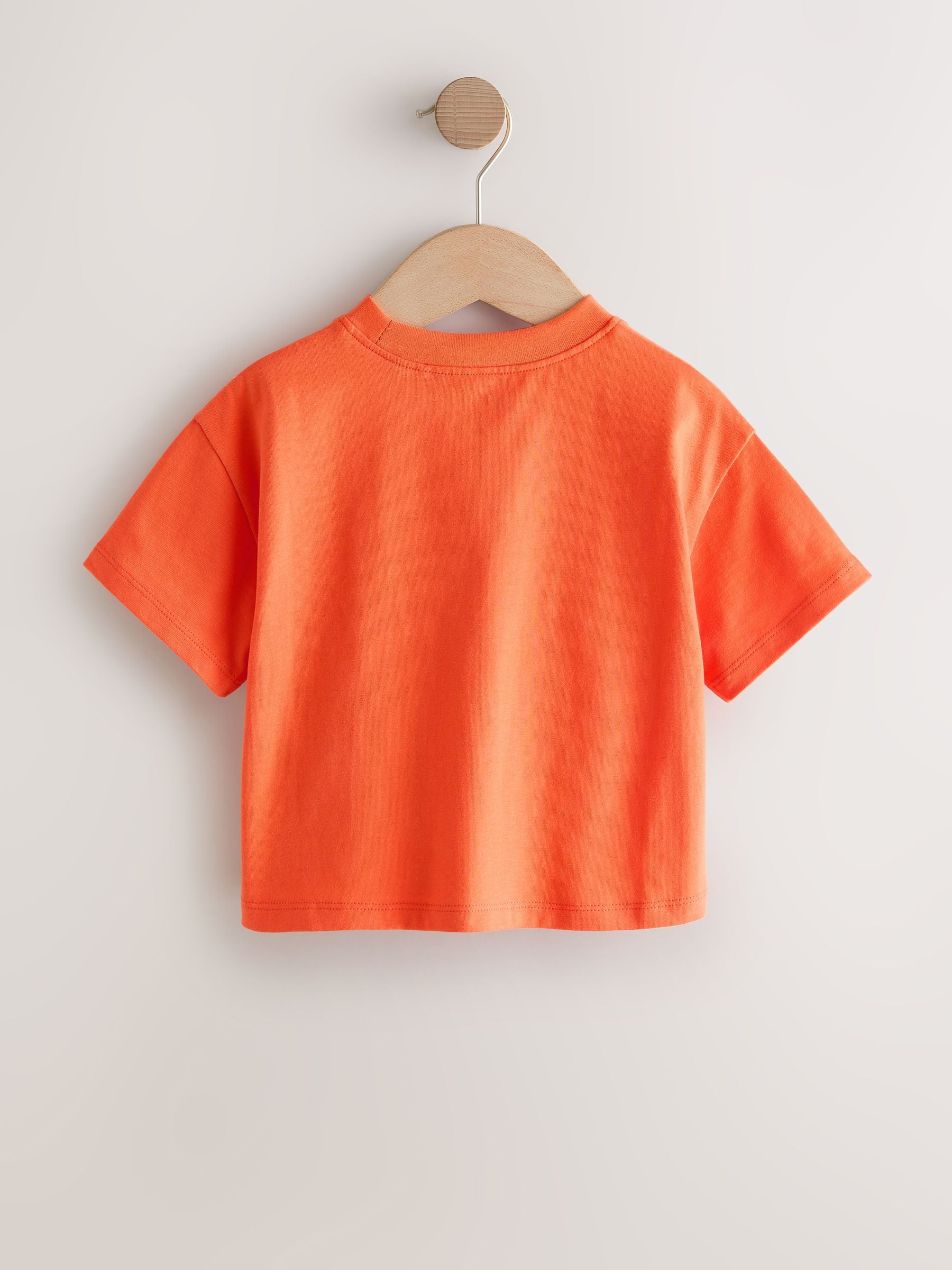 Blue/Green T-Shirts 4 Pack (3mths-7yrs) image 6