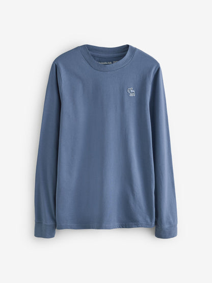 Dsiney Kidz - Abercrombie & Fitch Blue/Brown/Green Long Sleeve T-Shirts 3 Pack image 3