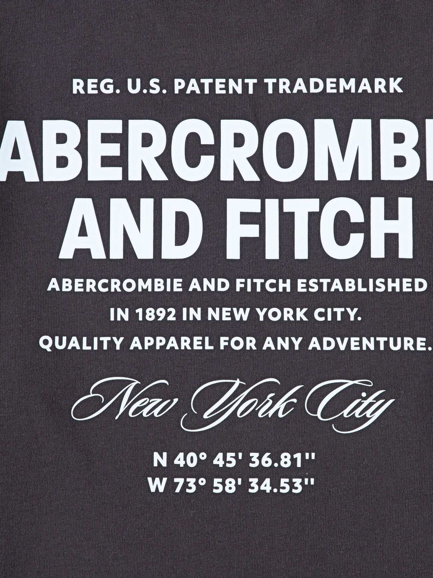Dsiney Kidz - Abercrombie & Fitch Black Graphic City Stack T-Shirt With Back Print image 4
