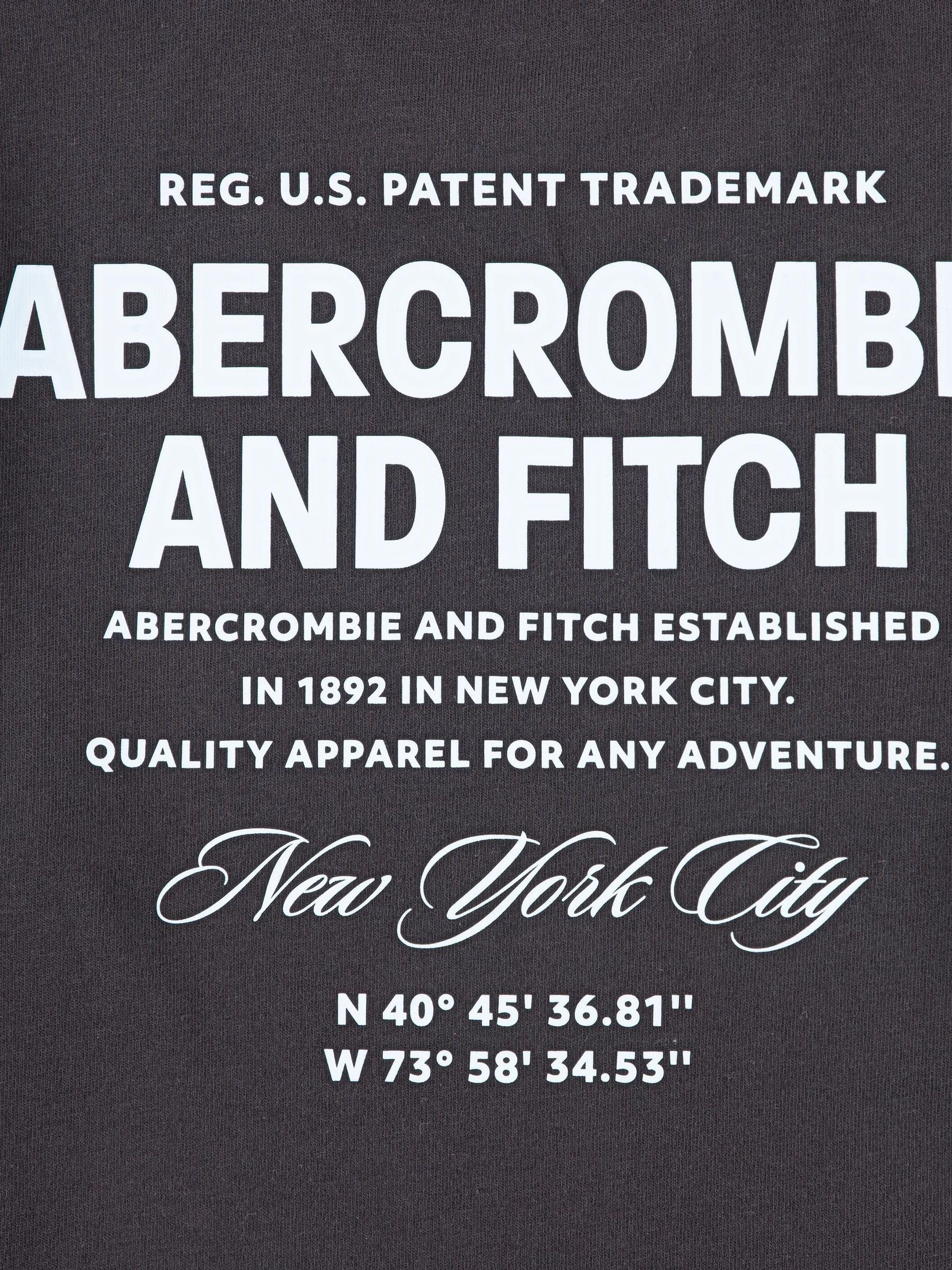 Dsiney Kidz - Abercrombie & Fitch Black Graphic City Stack T-Shirt With Back Print image 4