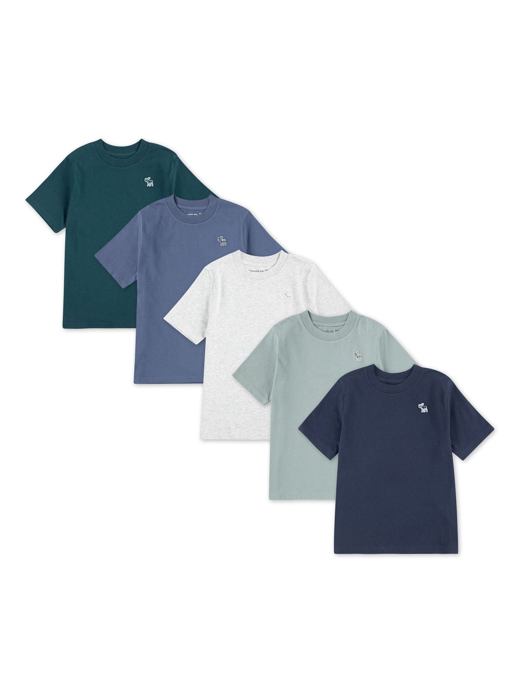 Dsiney Kidz - Abercrombie & Fitch Blue/Grey/Green Short Sleeve T-Shirts 5 Pack image 1