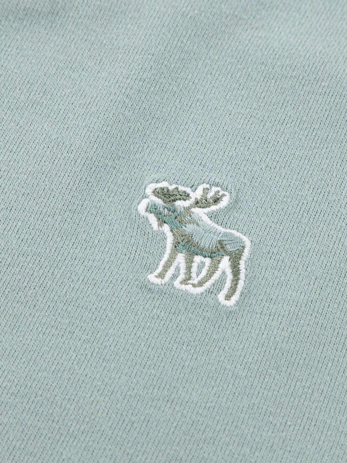 Dsiney Kidz - Abercrombie & Fitch Blue/Grey/Green Short Sleeve T-Shirts 5 Pack image 5