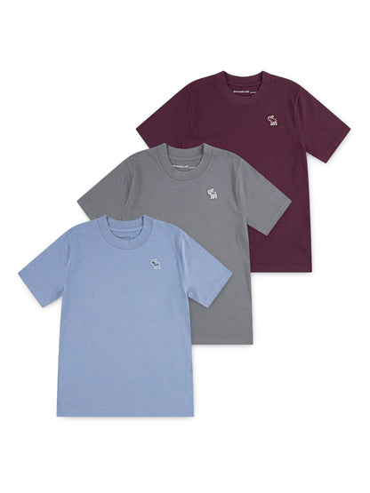 Dsiney Kidz - Abercrombie & Fitch Blue/Grey/Burgundy Red Short Sleeve T-Shirts 3 Pack image 1
