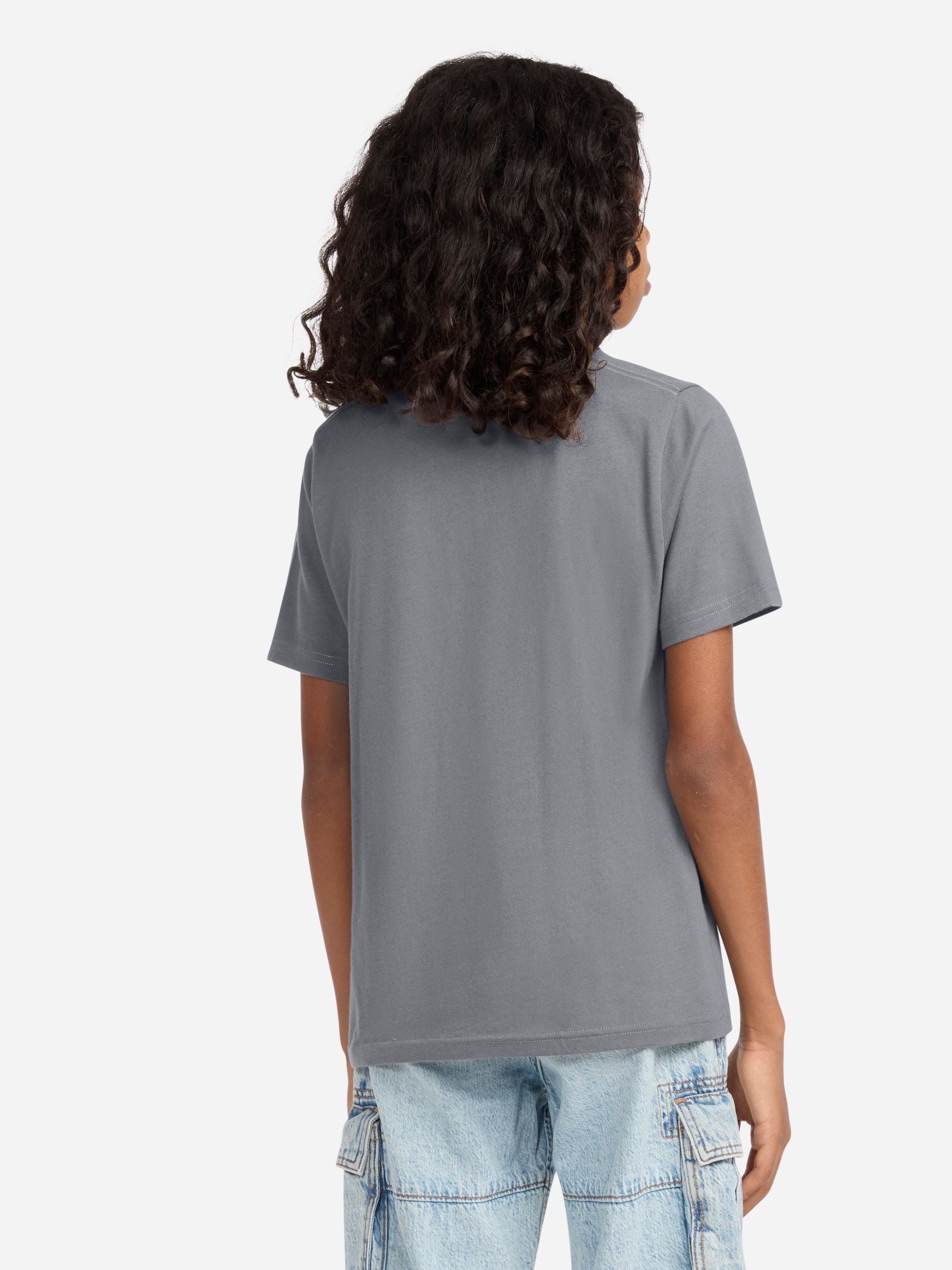 Dsiney Kidz - Abercrombie & Fitch Blue/Grey/Burgundy Red Short Sleeve T-Shirts 3 Pack image 4