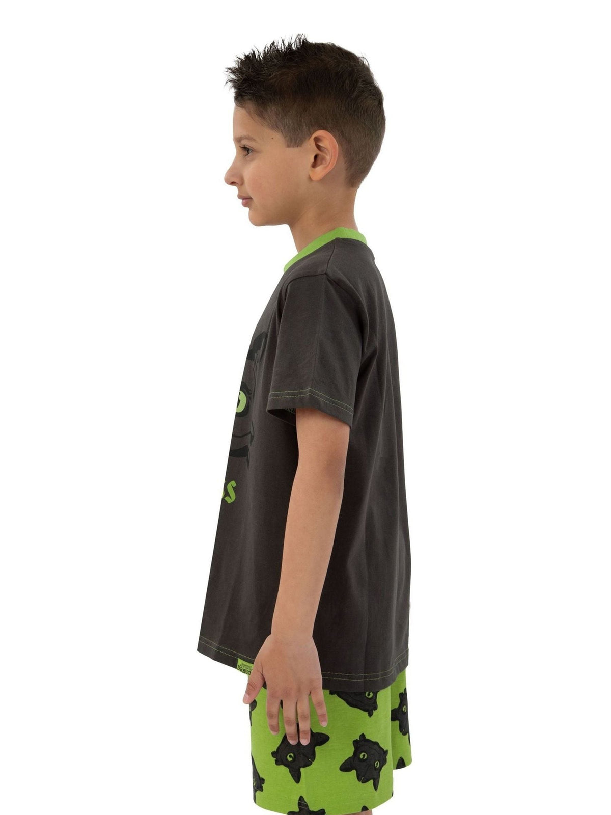 Character Black How To Train Your Dragon Short Sleeve Pyjamas - image 10