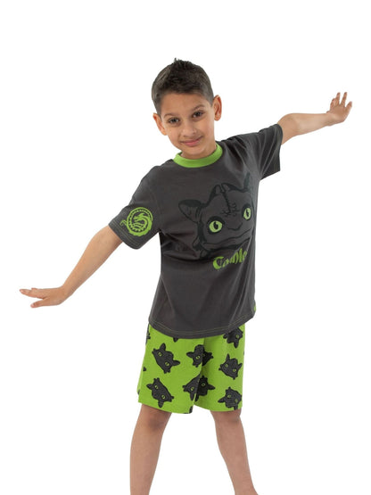 Character Black How To Train Your Dragon Short Sleeve Pyjamas - image 11