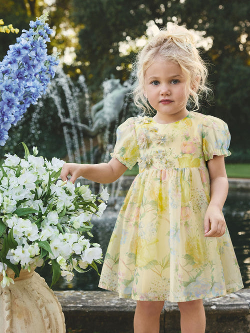 Dsiney Kidz - Yellow Floral Print Flower Corsage Dress (3mths-8yrs) image 1