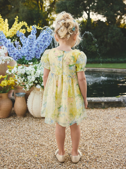 Yellow Floral Print Flower Corsage Dress (3mths-8yrs) image 3