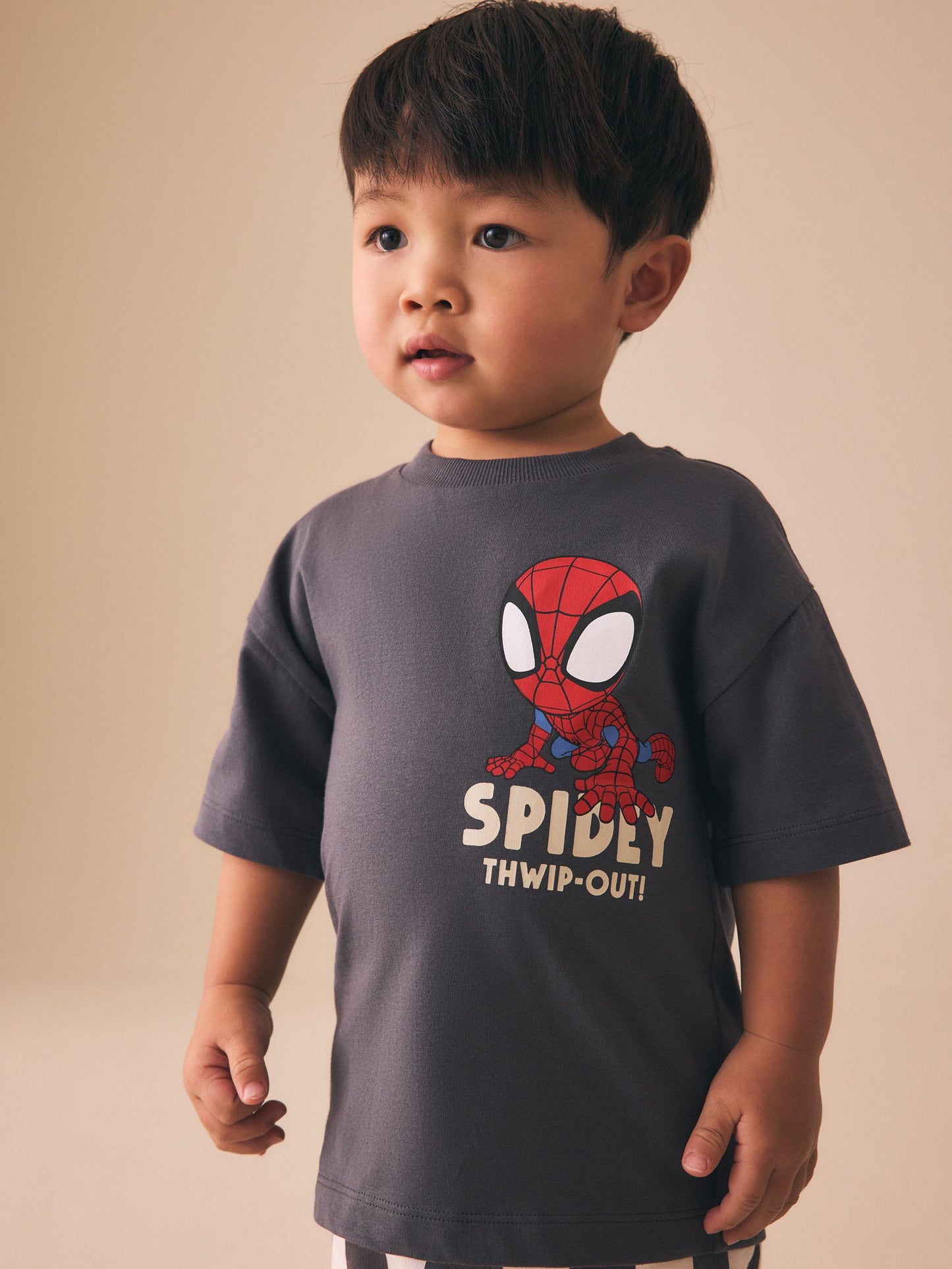 Dsiney Kidz - Charcoal Grey Spider-Man T-Shirt And Shorts Set (9mths-8yrs) image 2