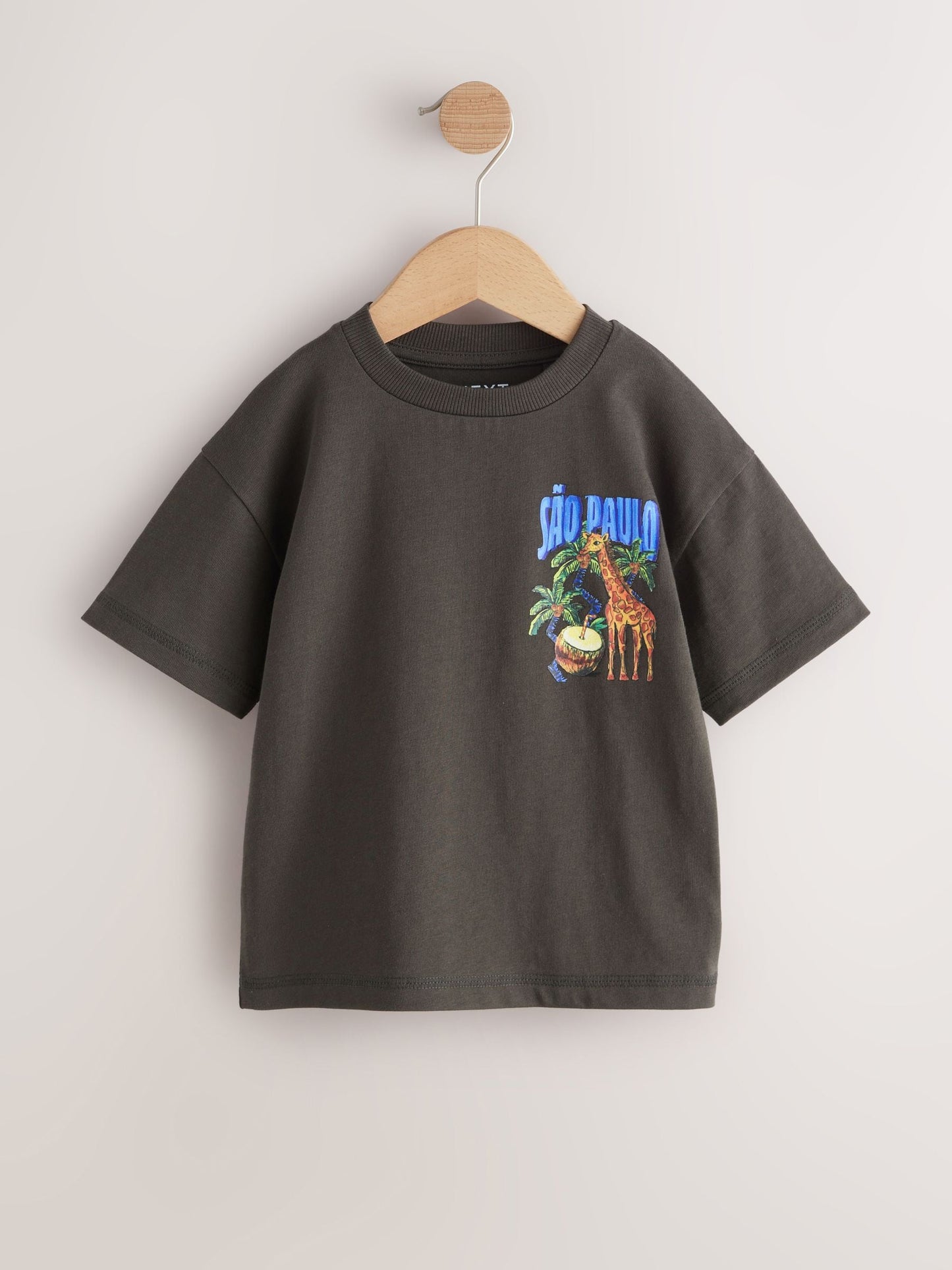 Charcoal Grey Sao Paulo Short Sleeve Back Print T-Shirt (3mths-7yrs) image 5