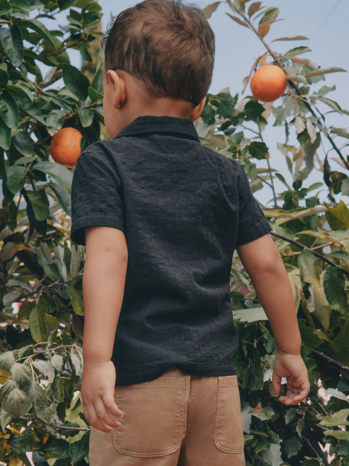 Black Embroidery Flower Short Sleeve Revere Collar Textured Embroidered Shirt (3mths-7yrs) - image 5