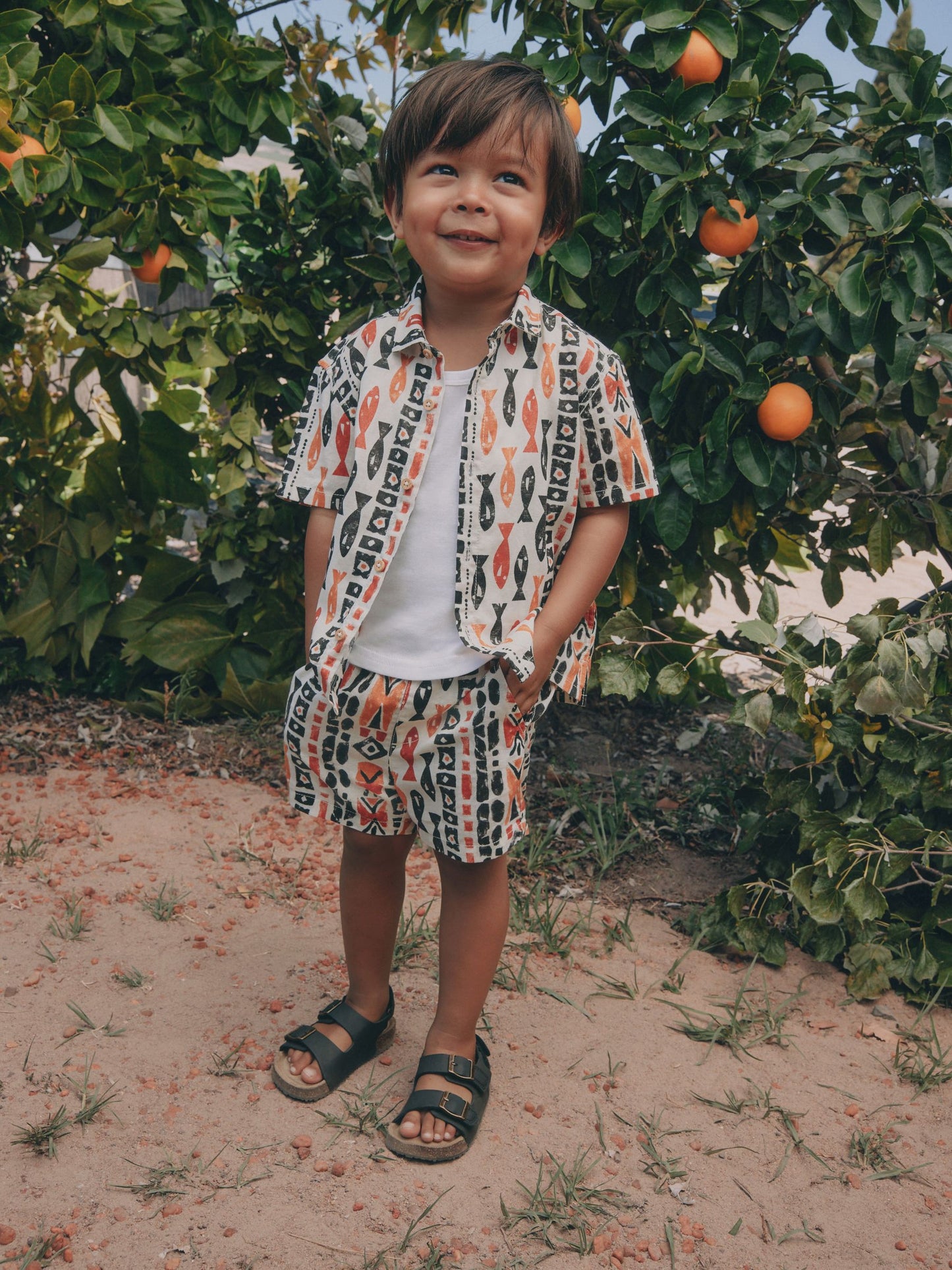 Ecru All Over Print Fish Short Sleeve AOP Shirt and Shorts Set (3mths-10yrs) image 3