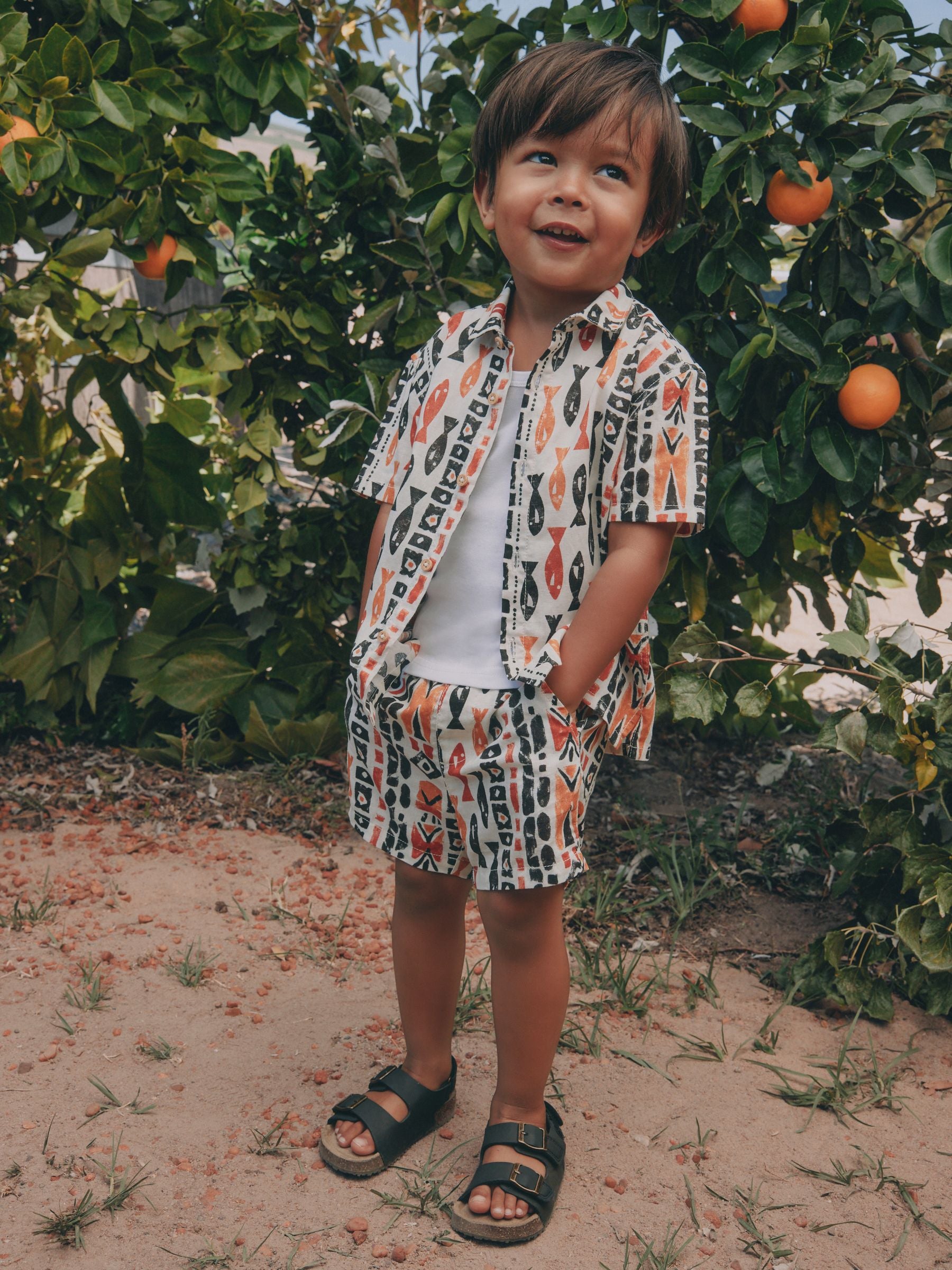 Ecru All Over Print Fish Short Sleeve AOP Shirt and Shorts Set (3mths-10yrs) image 4