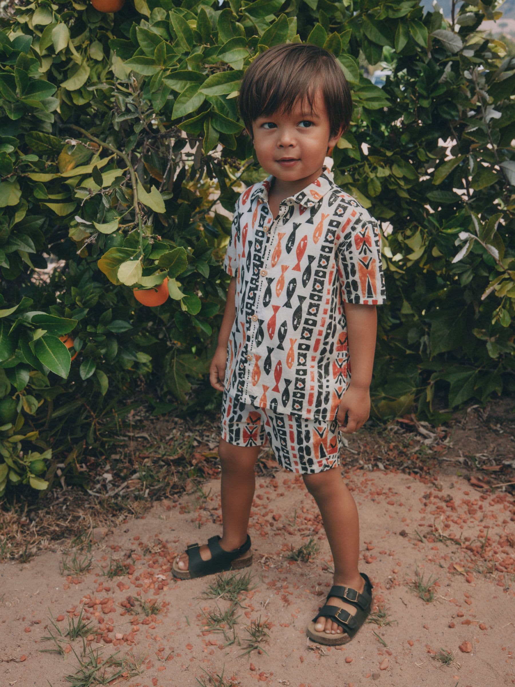 Ecru All Over Print Fish Short Sleeve AOP Shirt and Shorts Set (3mths-10yrs) image 5