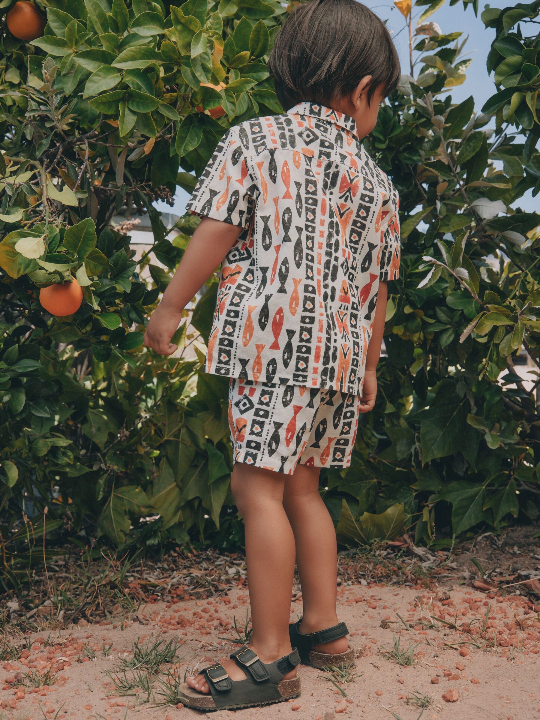 Ecru All Over Print Fish Short Sleeve AOP Shirt and Shorts Set (3mths-10yrs) image 7