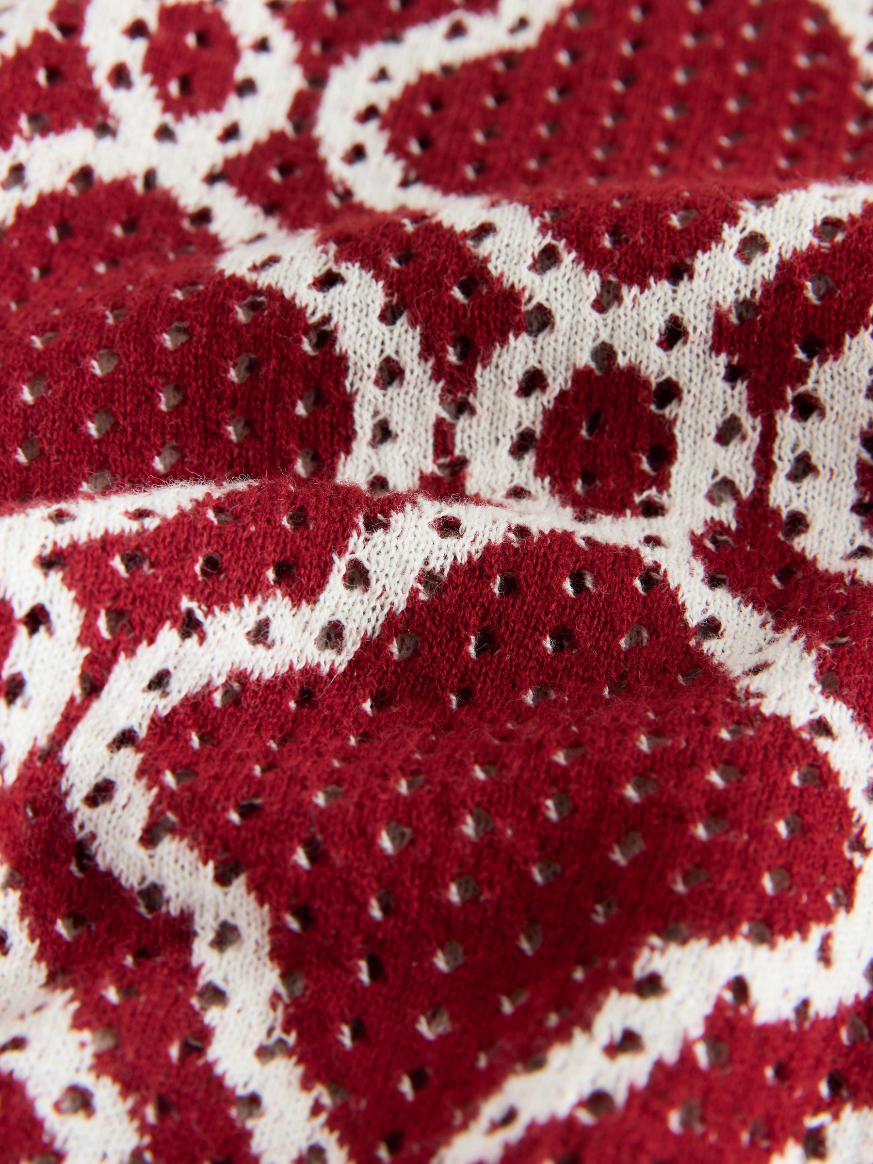 Dsiney Kidz - Burgundy Red Textured Knitted Polo Shirt and Shorts Set (3-16yrs) image 14