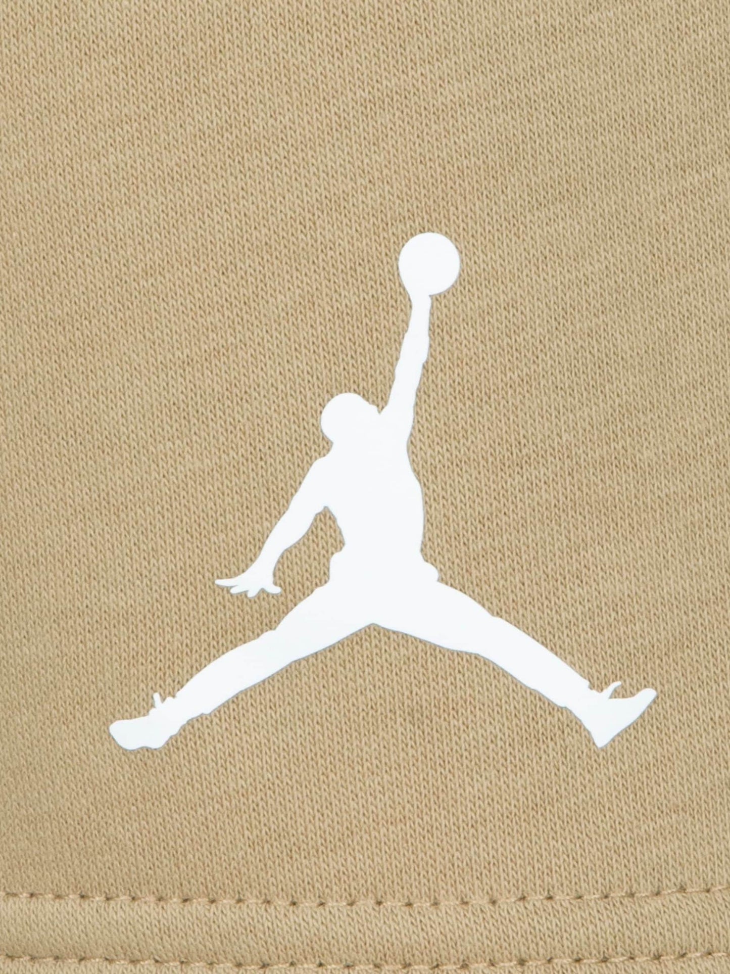 Jordan Desert Camo Jumbo Jumpman Shorts Set image 4