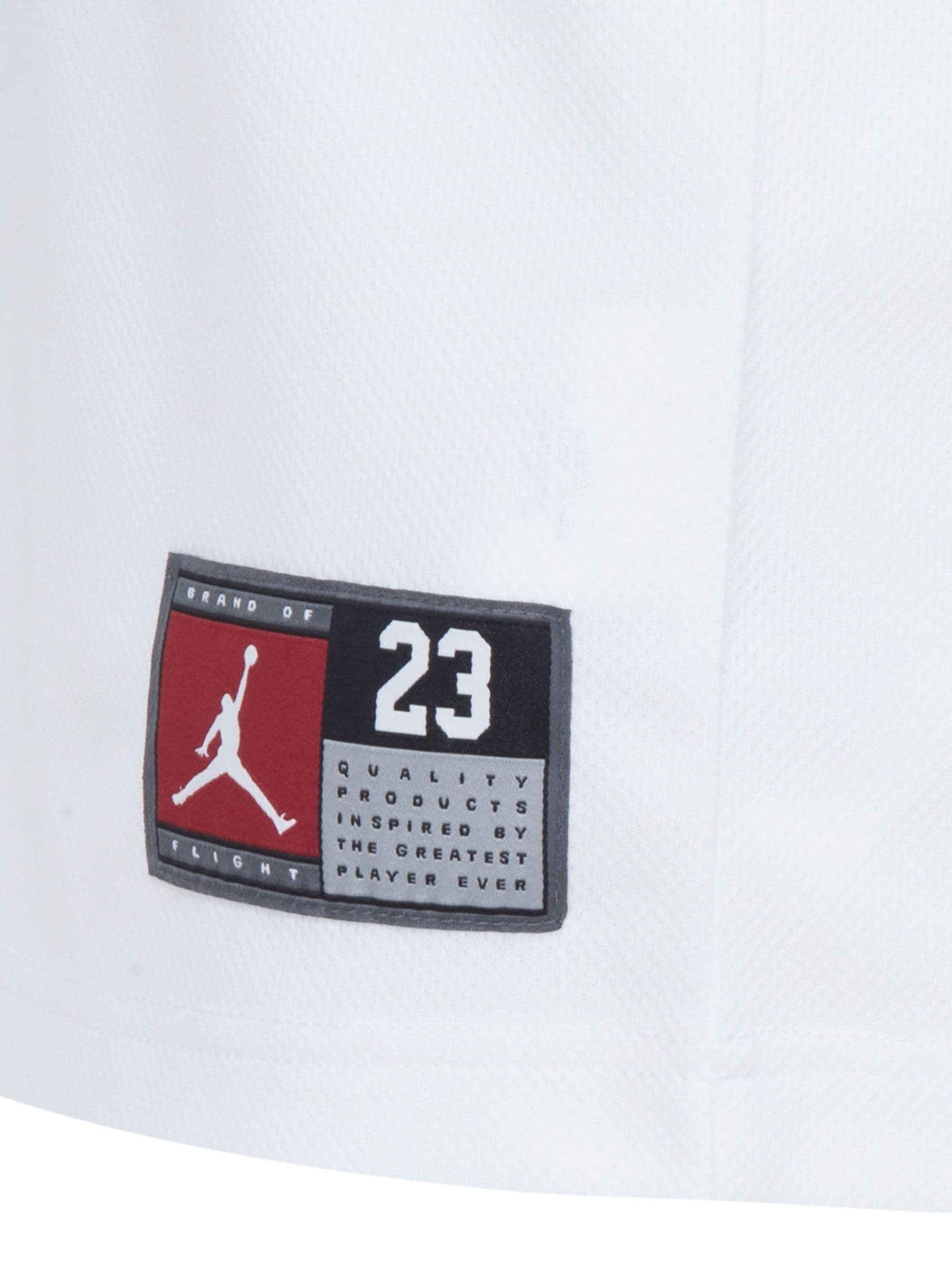Jordan University Blue University Air 23 Jersey Set image 4
