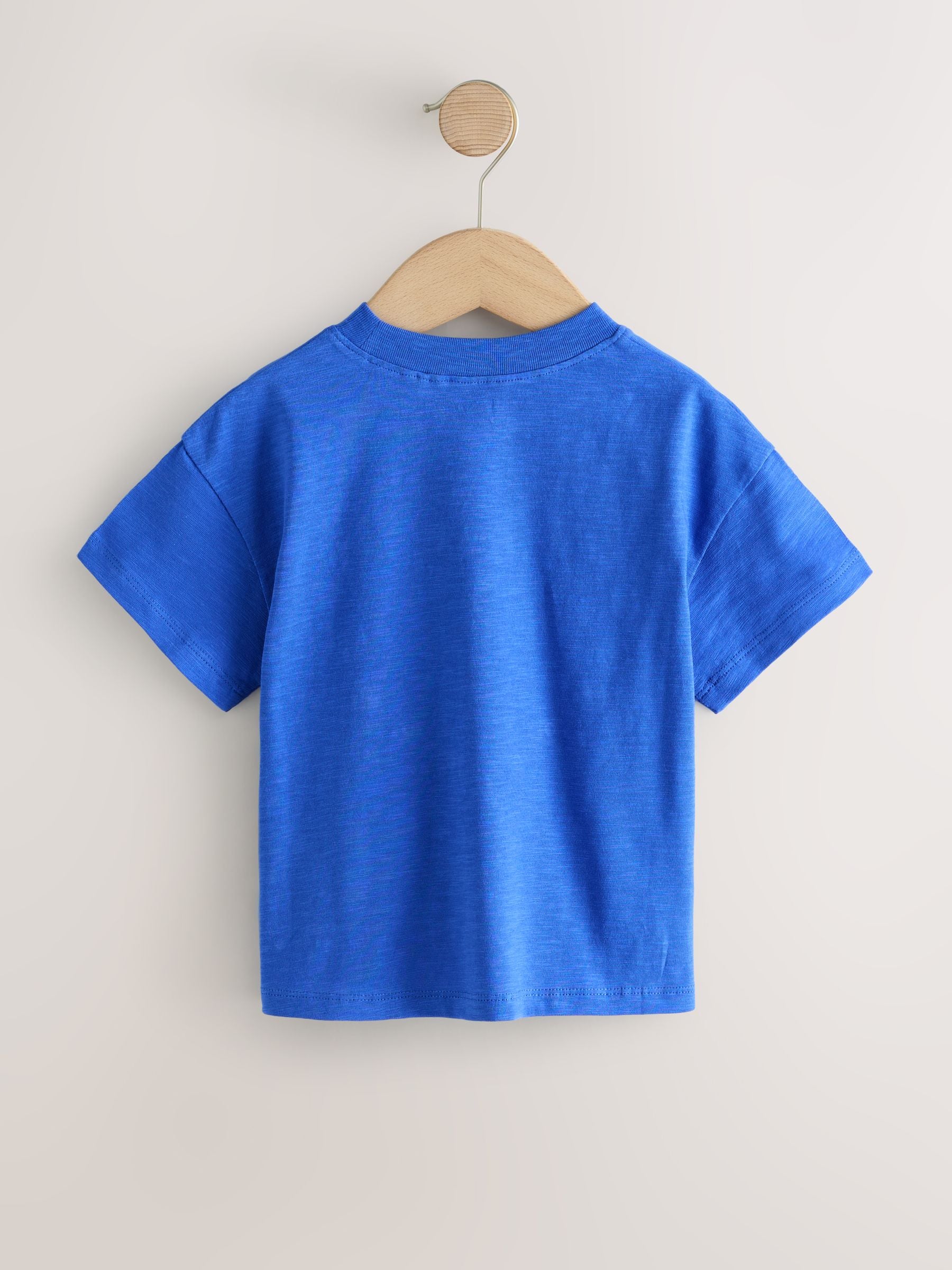 Blue Short Sleeve Applique Flower T-Shirt (3mths-7yrs) image 4