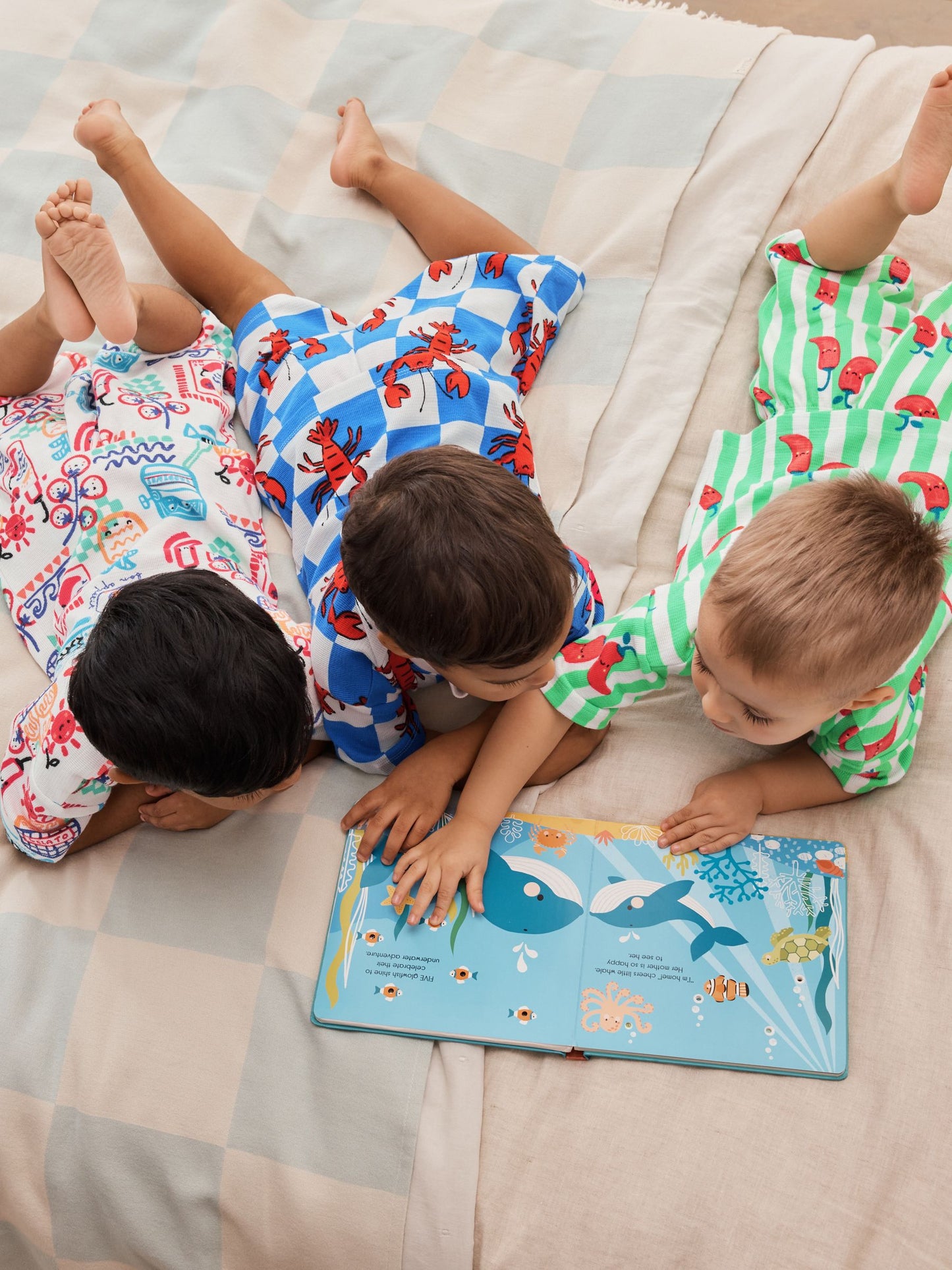 Blue/Green/Red/White Lobster & Chilii Seaside Short Pyjamas 3 Pack (9mths-10yrs) image 6