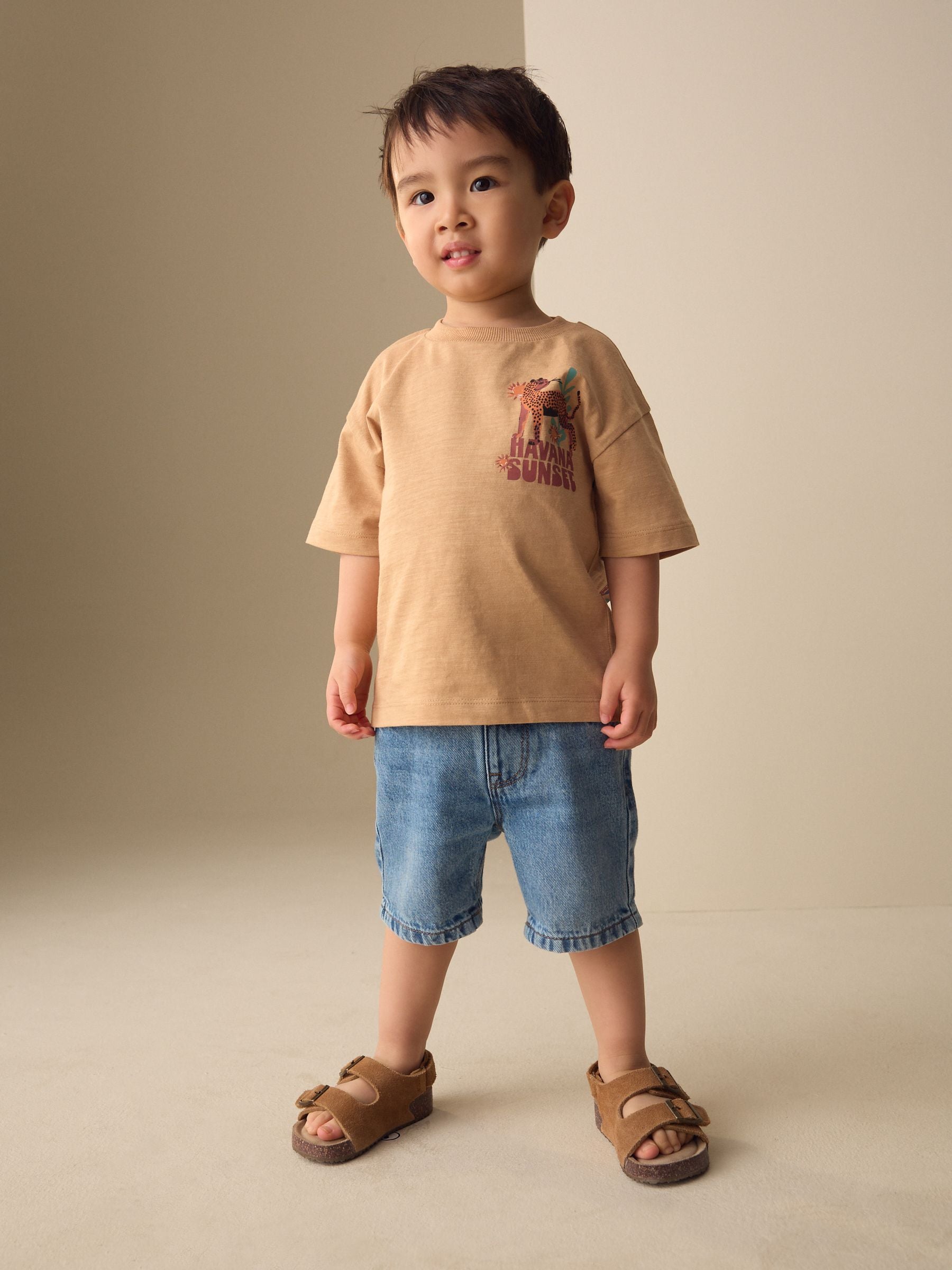 Tan Cheetah Havana Sunset Short Sleeve Back Print T-Shirt (3mths-7yrs) image 3