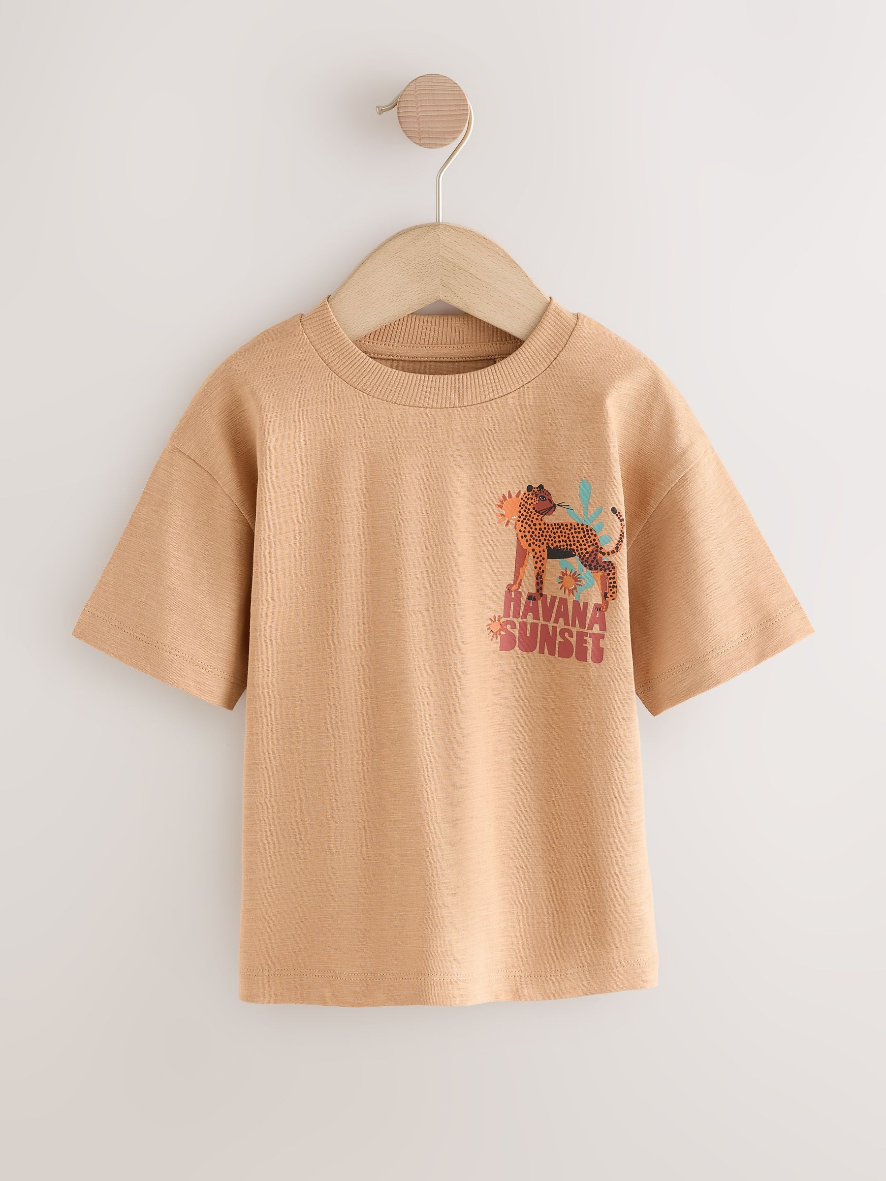 Tan Cheetah Havana Sunset Short Sleeve Back Print T-Shirt (3mths-7yrs) image 5