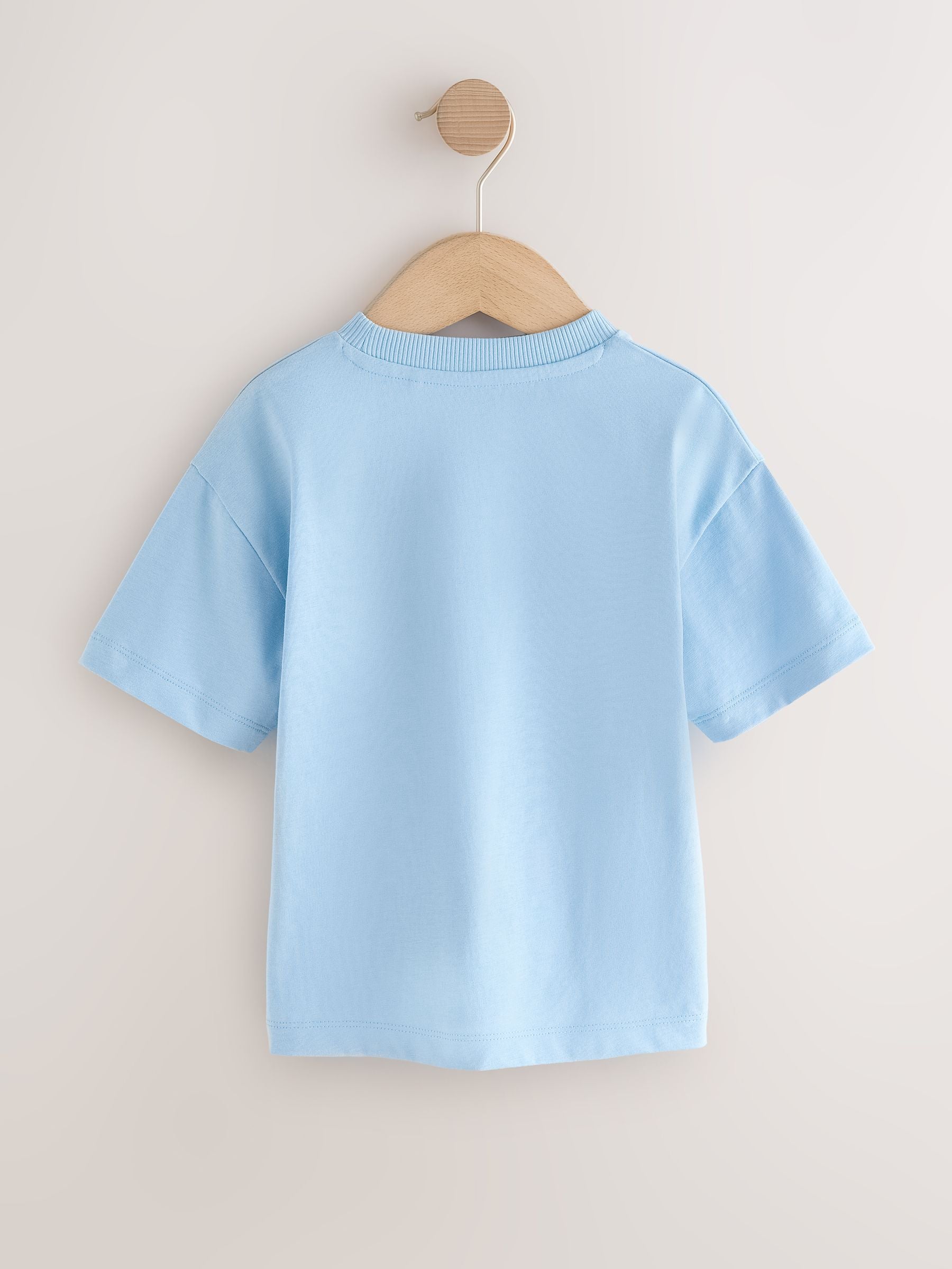 Light Blue Tiger Short Sleeve Small Graphic T-Shirt (3mths-7yrs) image 5