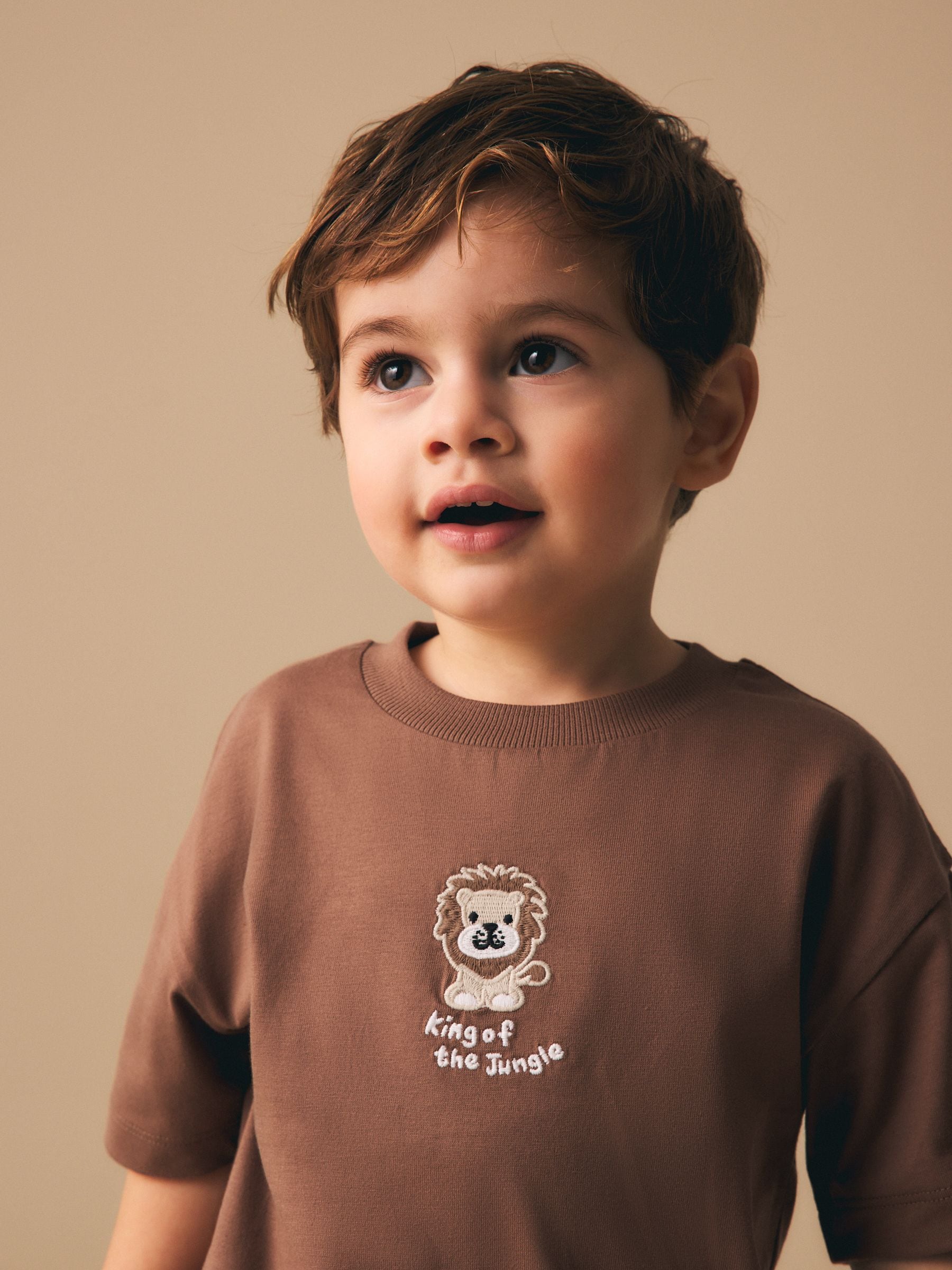Chocolate Brown Lion Short Sleeve Small Graphic T-Shirt (3mths-7yrs) image 4