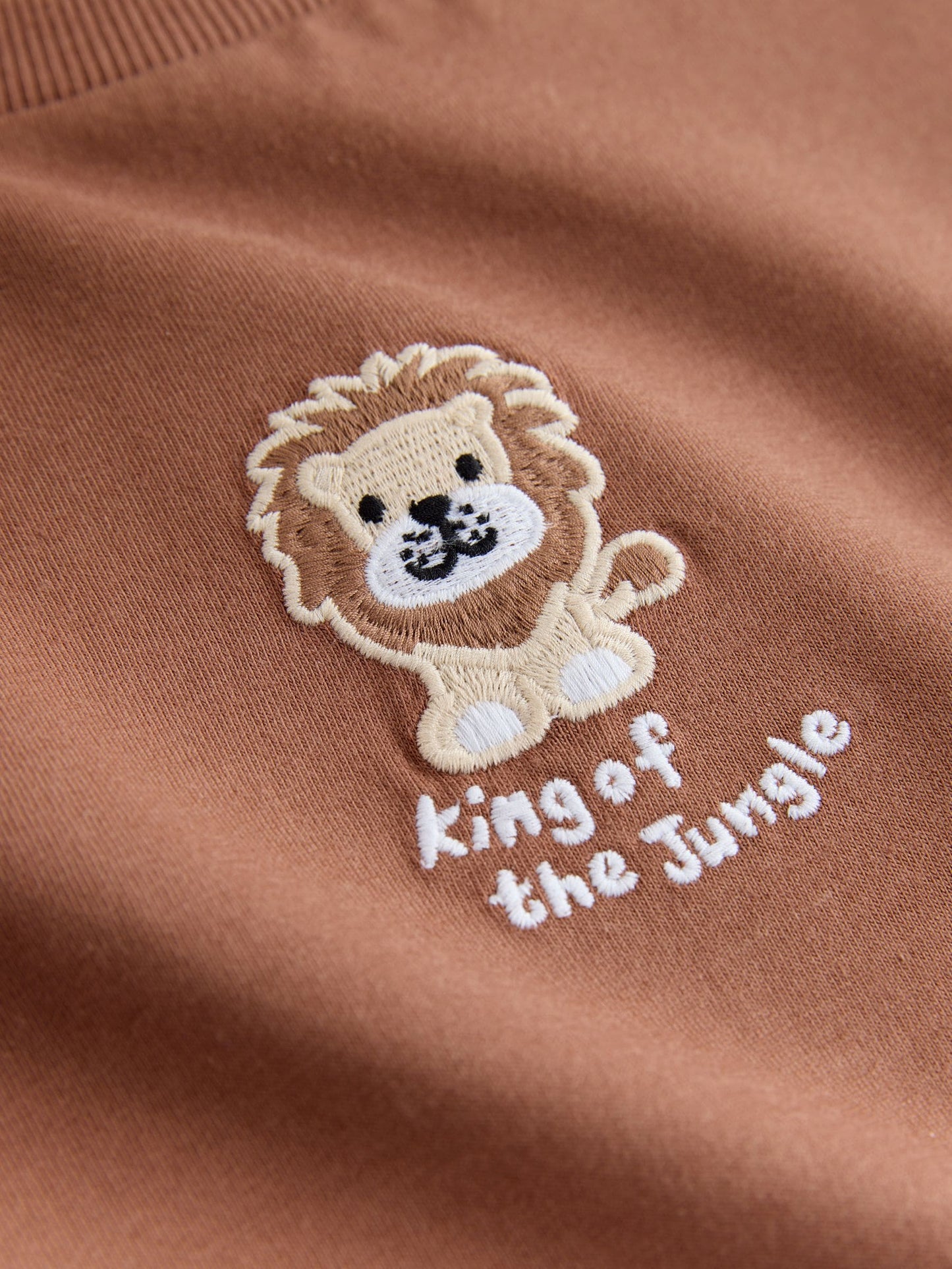 Chocolate Brown Lion Short Sleeve Small Graphic T-Shirt (3mths-7yrs) image 7