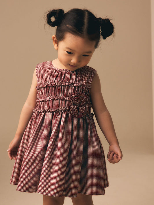 Chocolate Brown Gingham Corsage Dress (3mths-8yrs) image 1