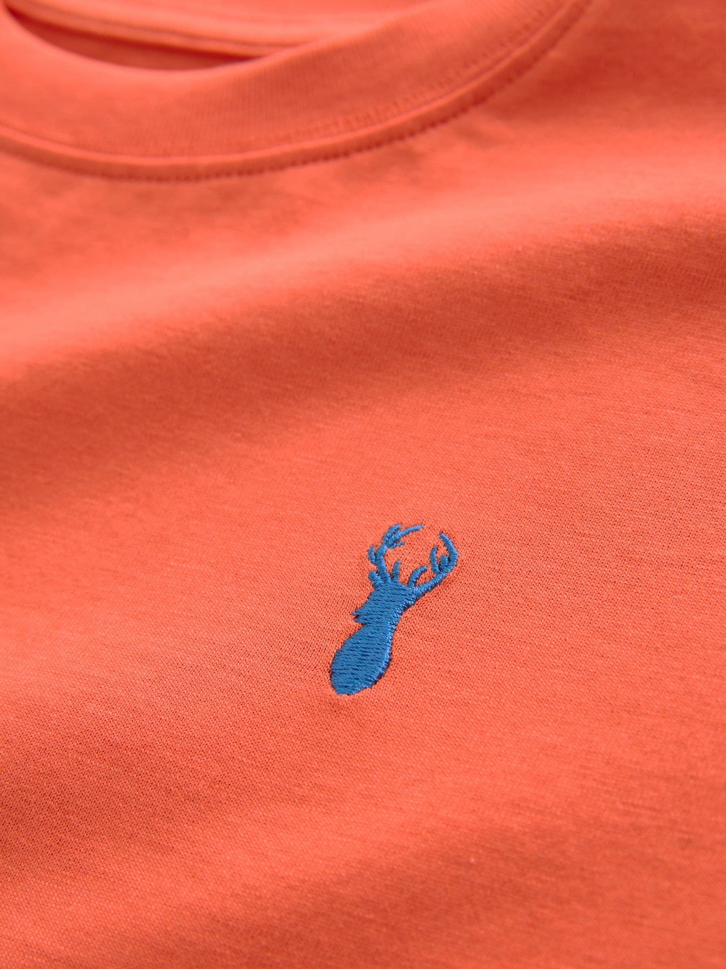 Dsiney Kidz - Orange Stag Regular Fit Short Sleeve T-Shirt (3-16yrs) image 3